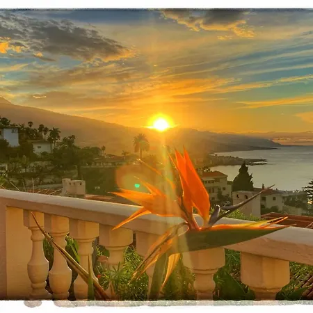 Casa Alena Holiday home *