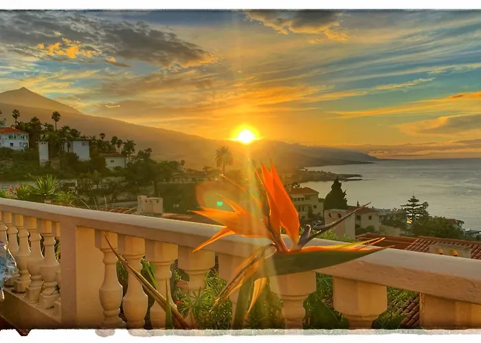 Casa Alena بيت للعطل *